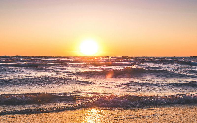 中國移民機構市場規模多大？深入解析行業現狀與未來發展